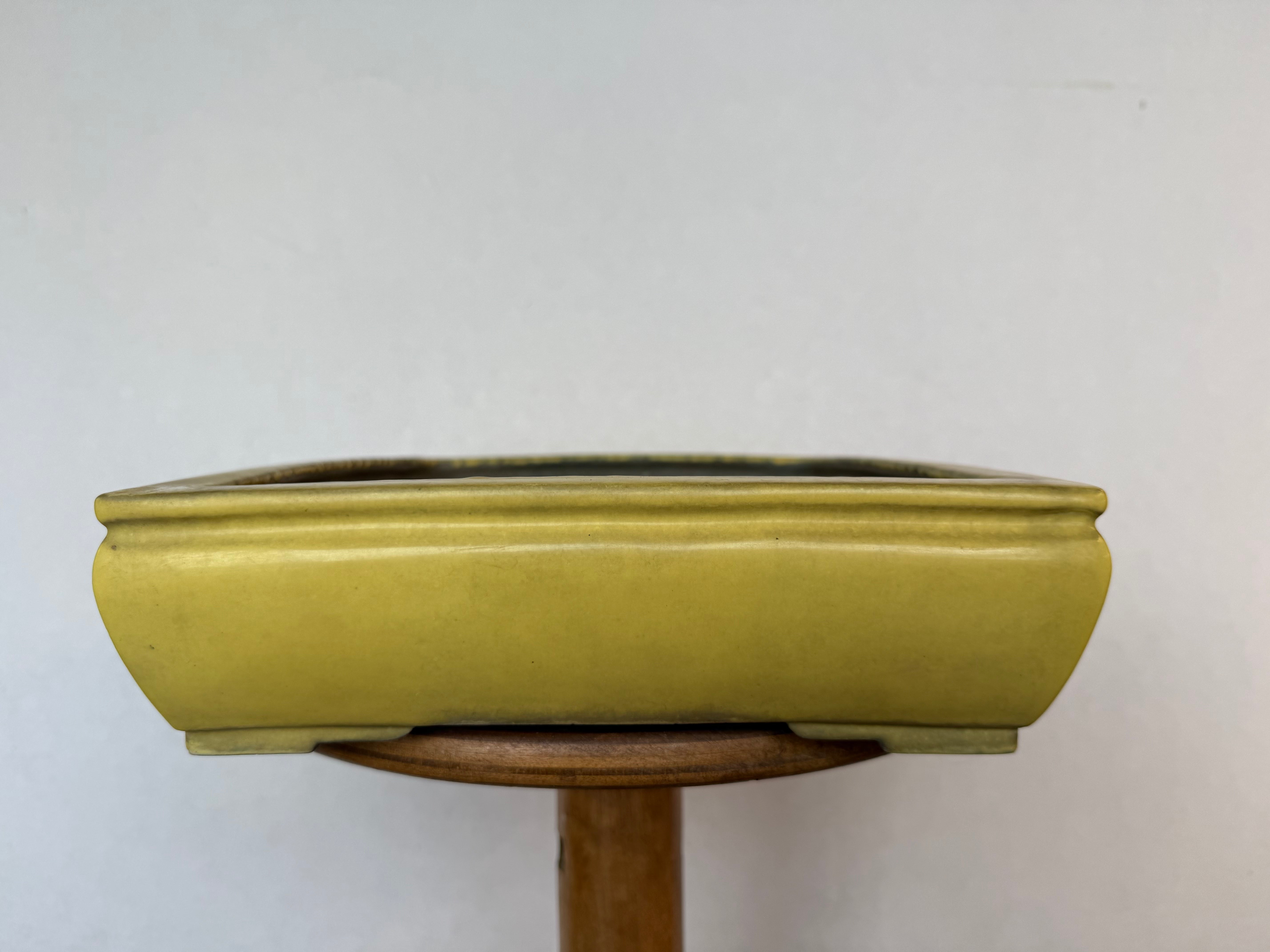 Koyo #163 (collector's item)