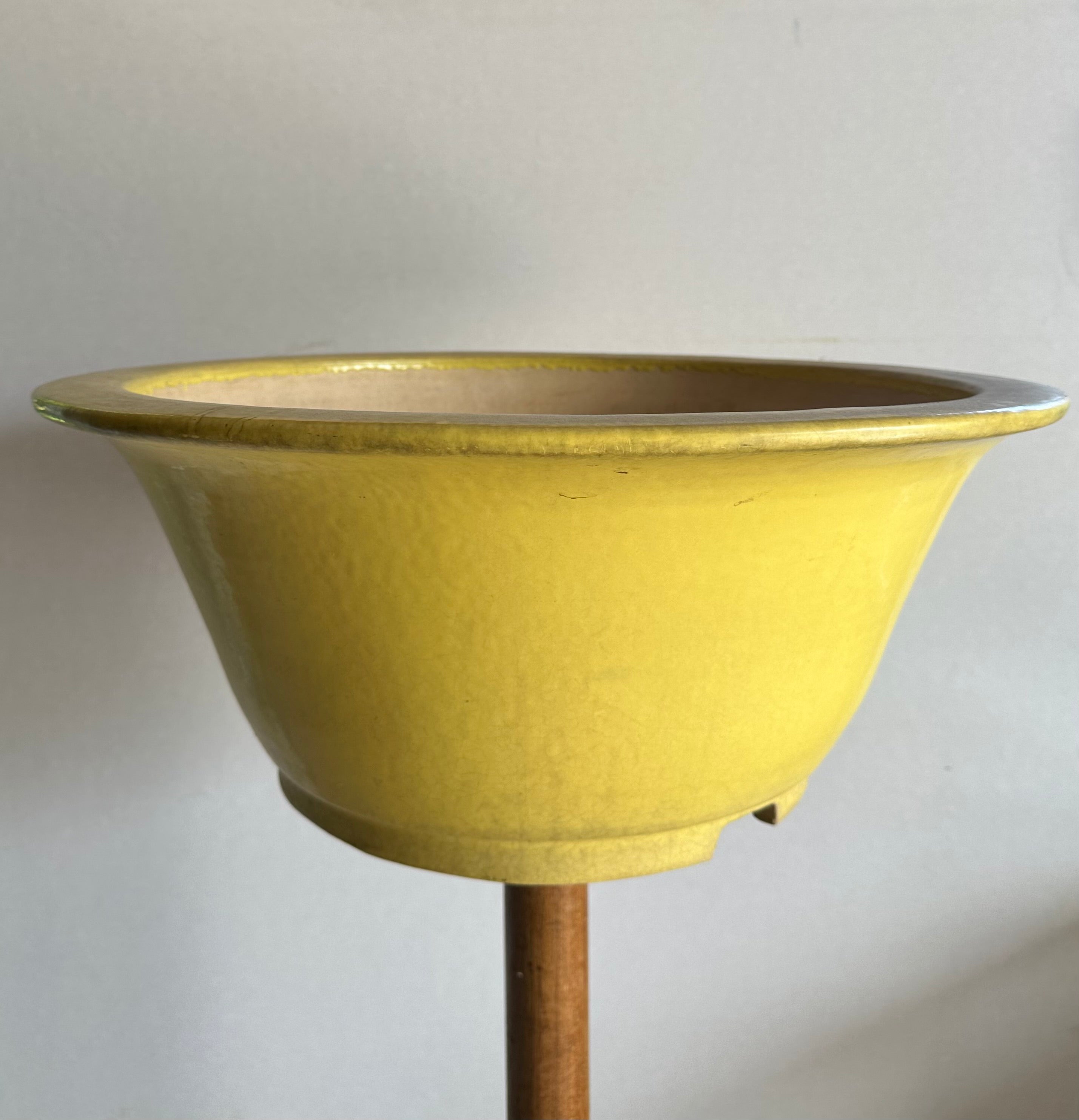 Koyo #59 (collector's item)