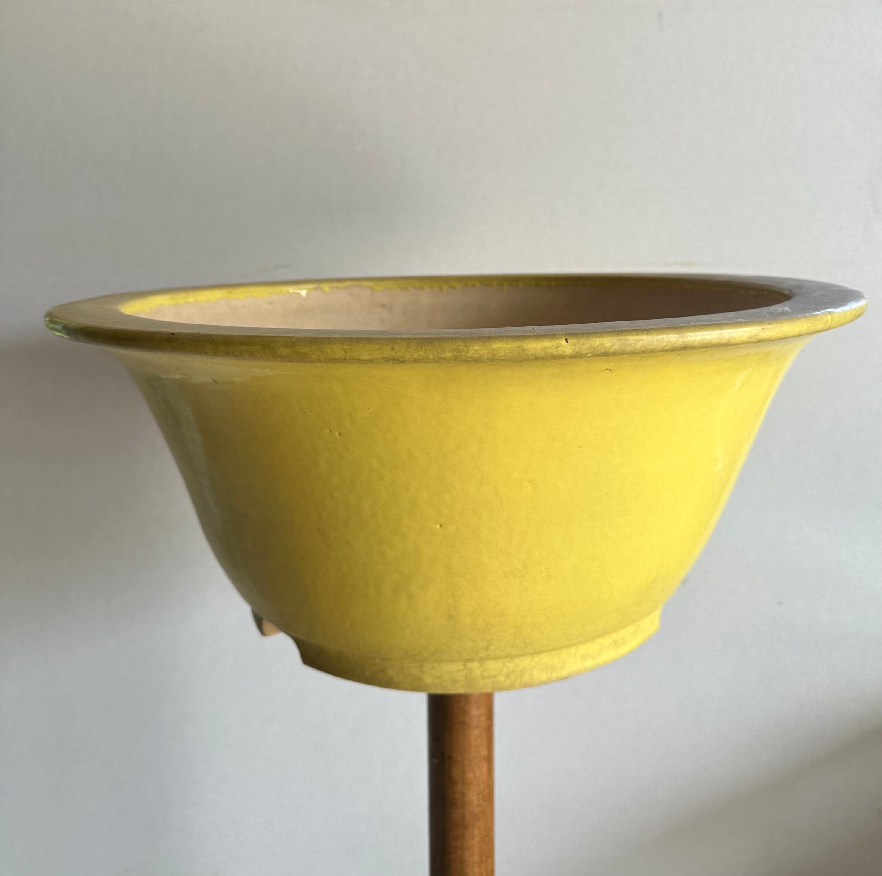 Koyo #59 (collector's item)