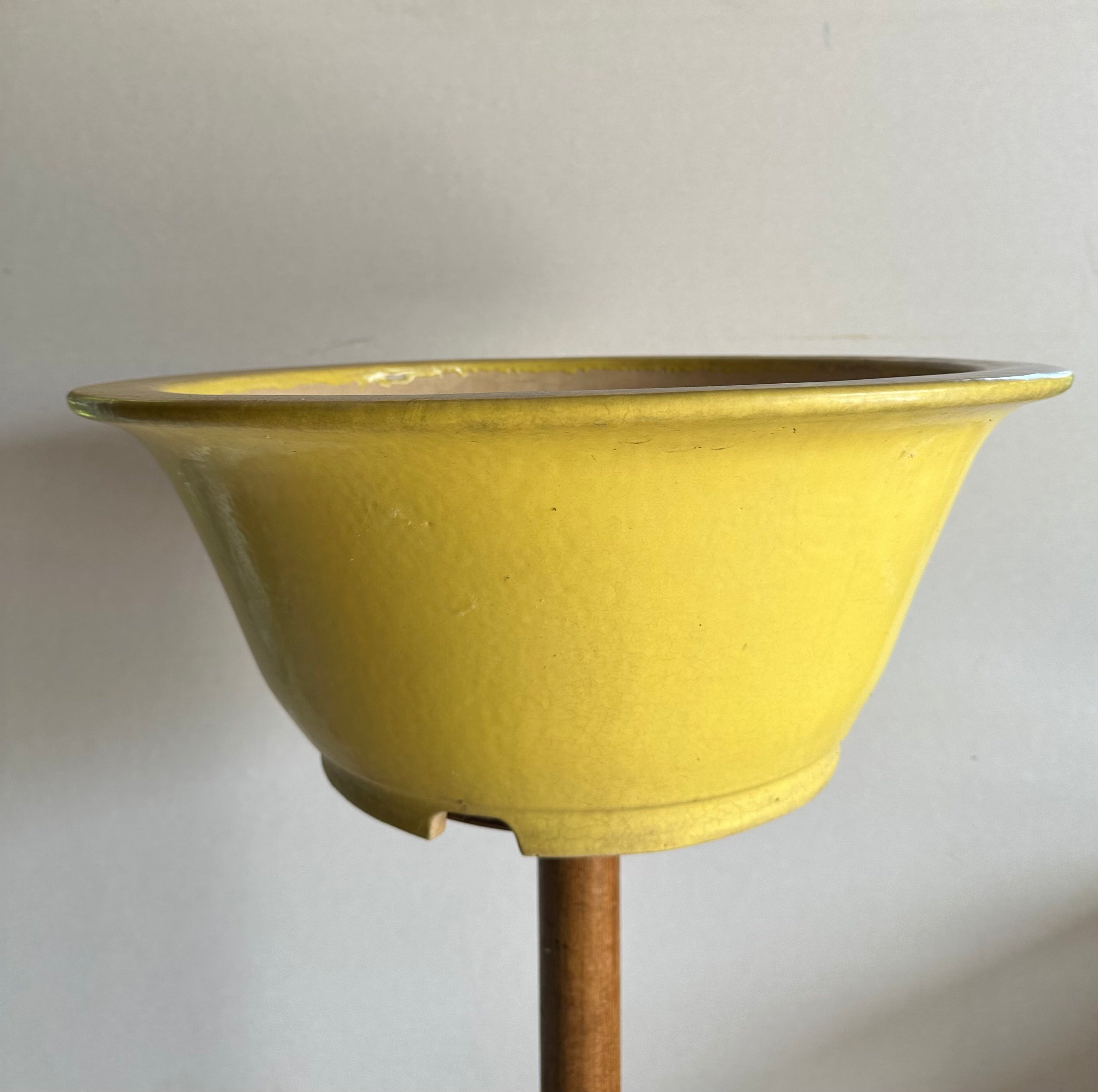 Koyo #59 (collector's item)