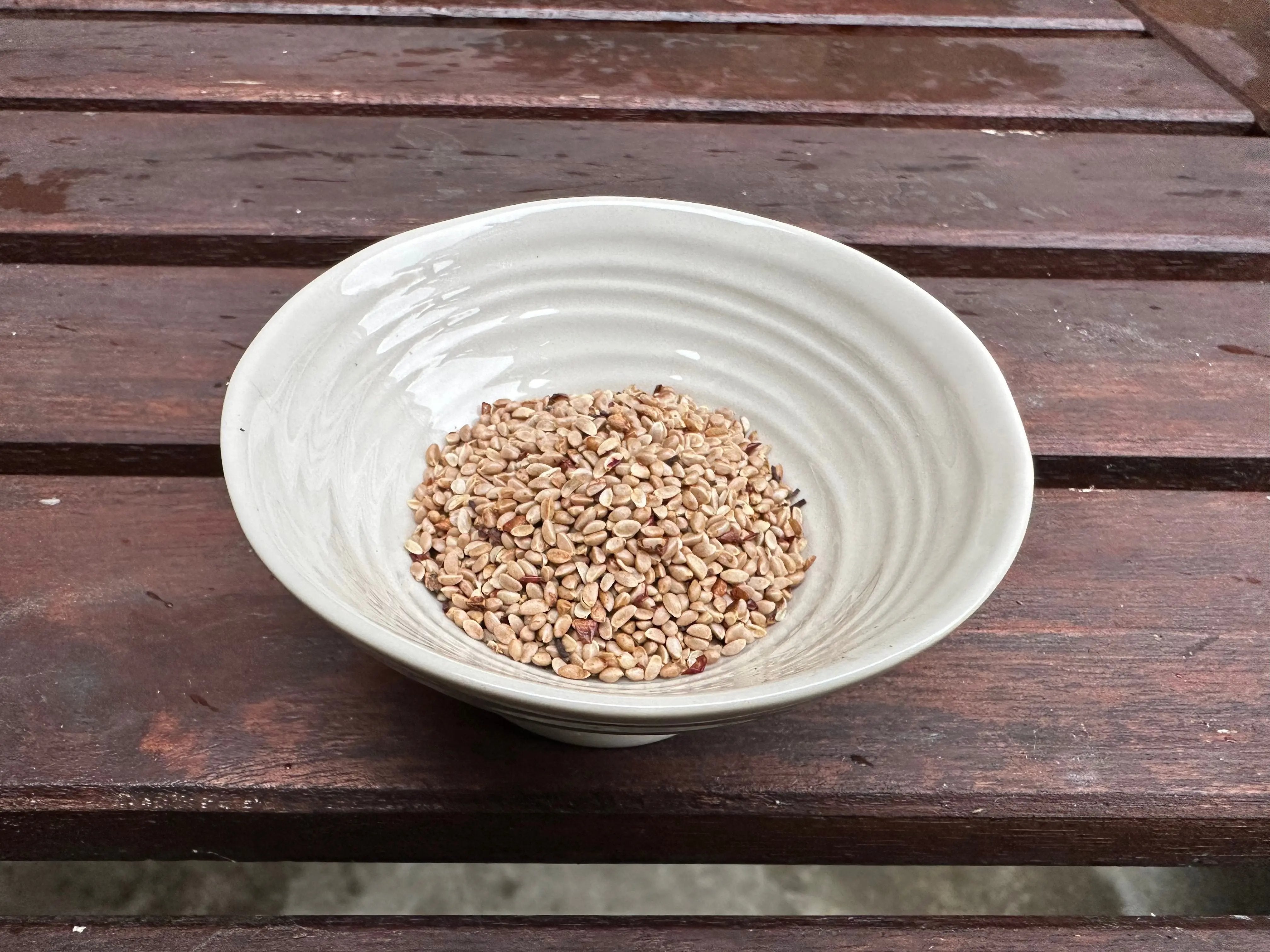 Ilex serrata CB Seeds