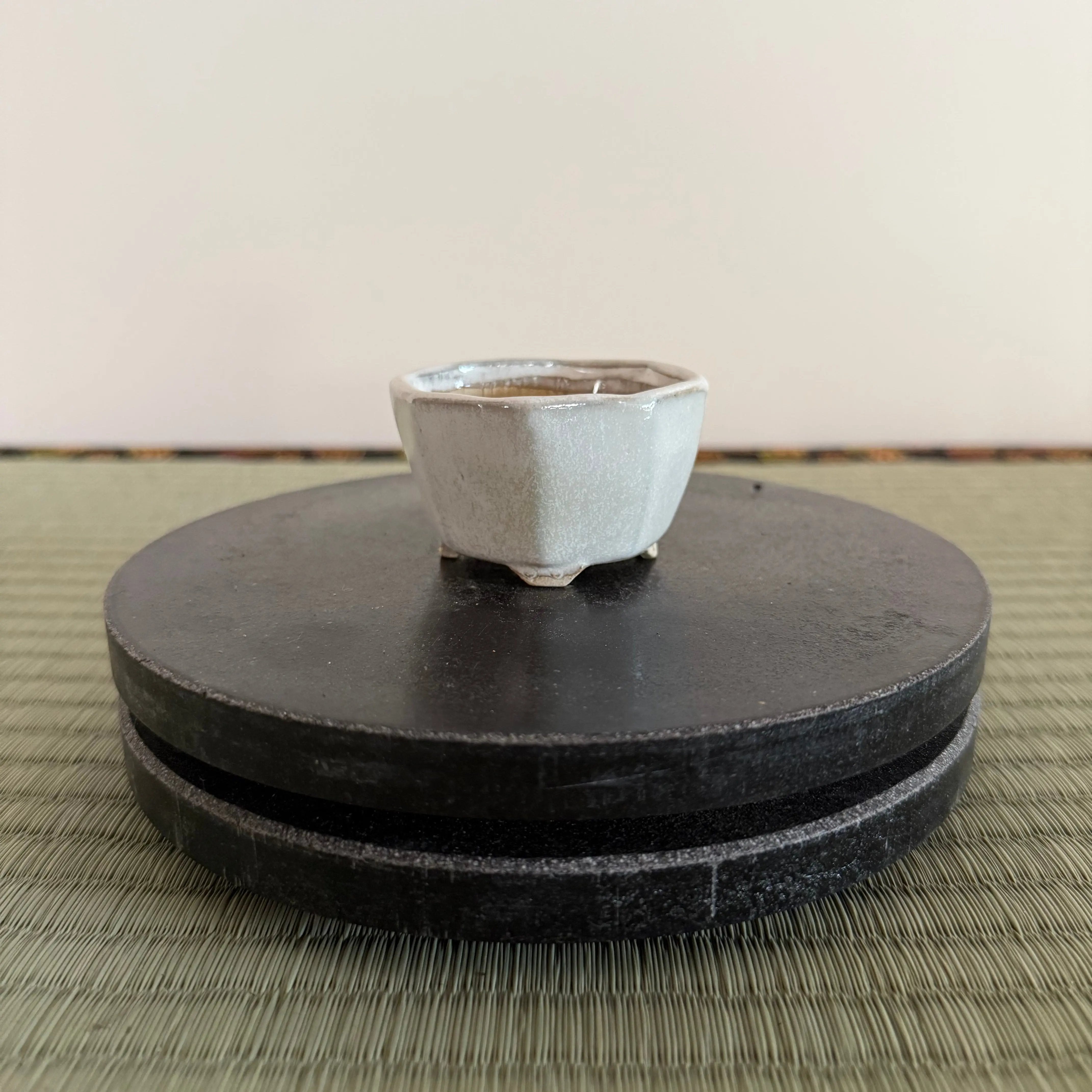 Bonsai Pot Canada Bonsai