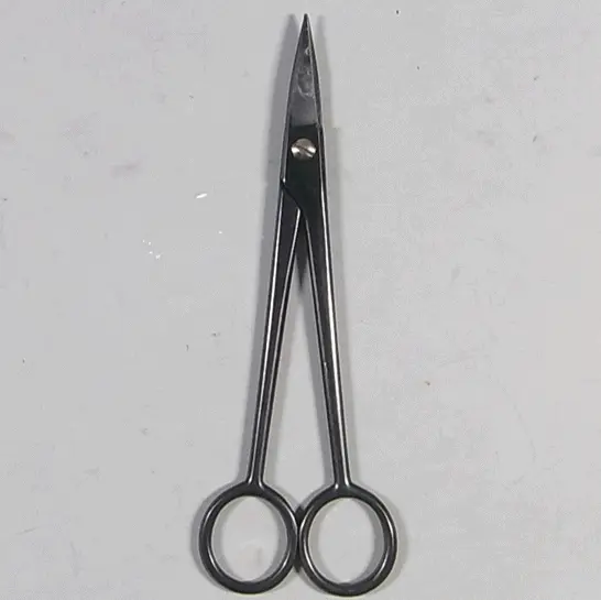 Scissors (for white pine buds) CB Tools