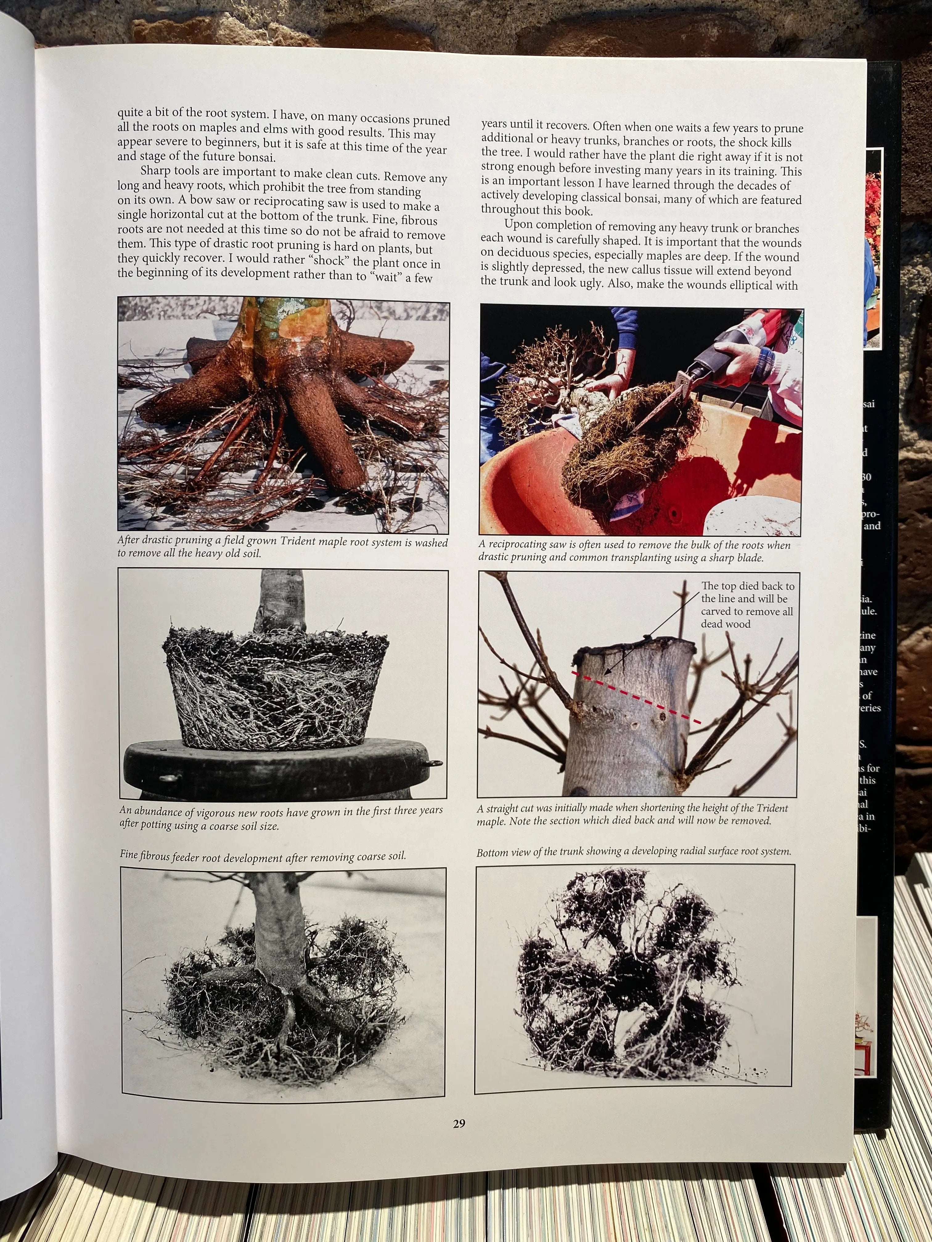 Classical Bonsai Art (signed) CB Books