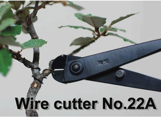 Wire Cutter (medium) CB Tools