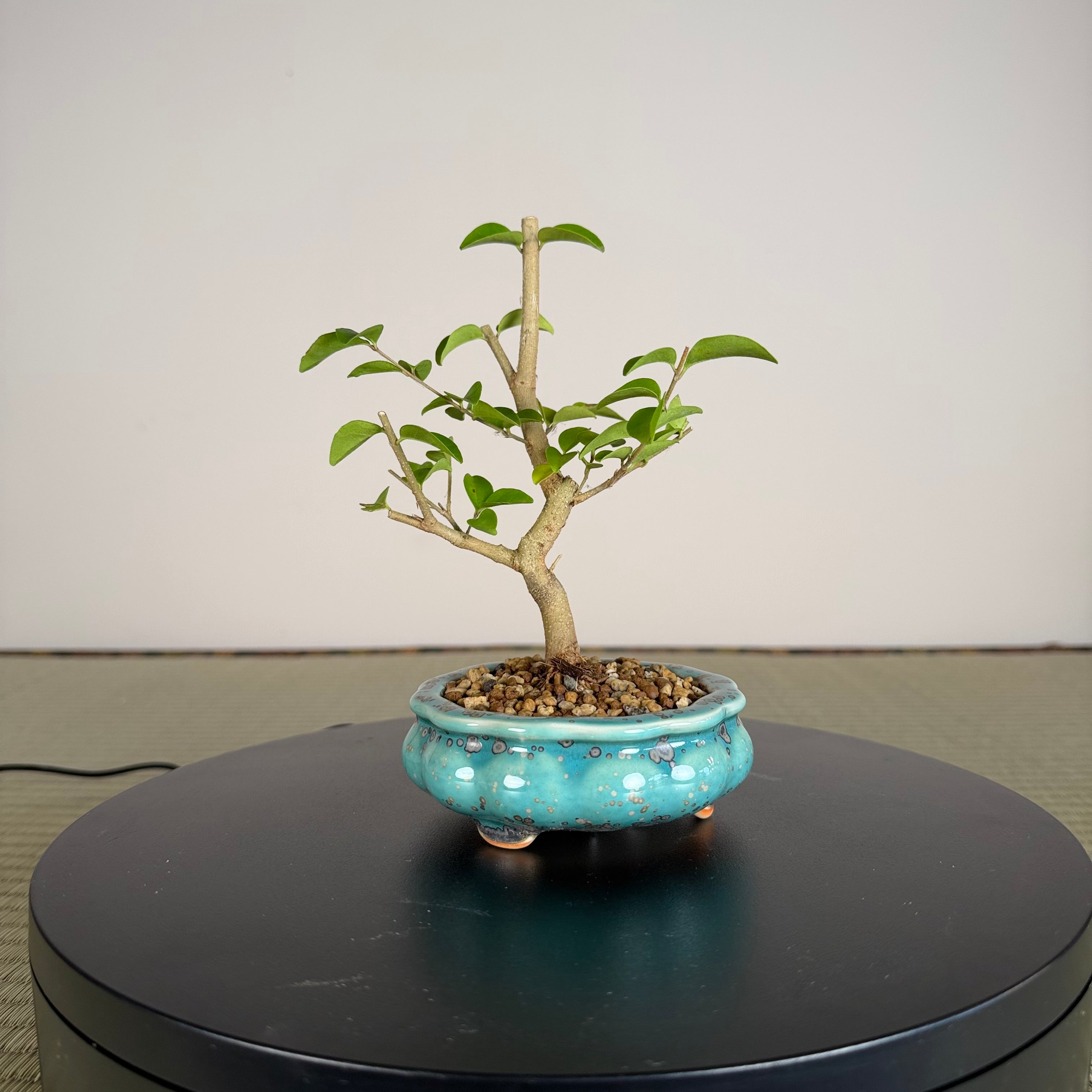 TROISIÈME DE CHINOIS