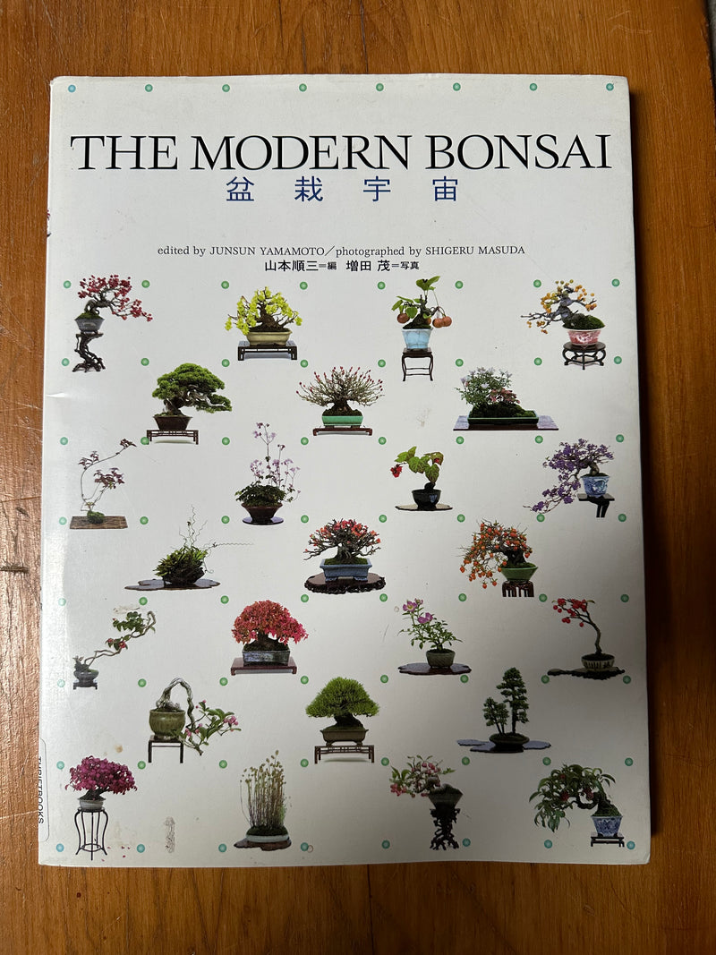 The Modern Bonsai